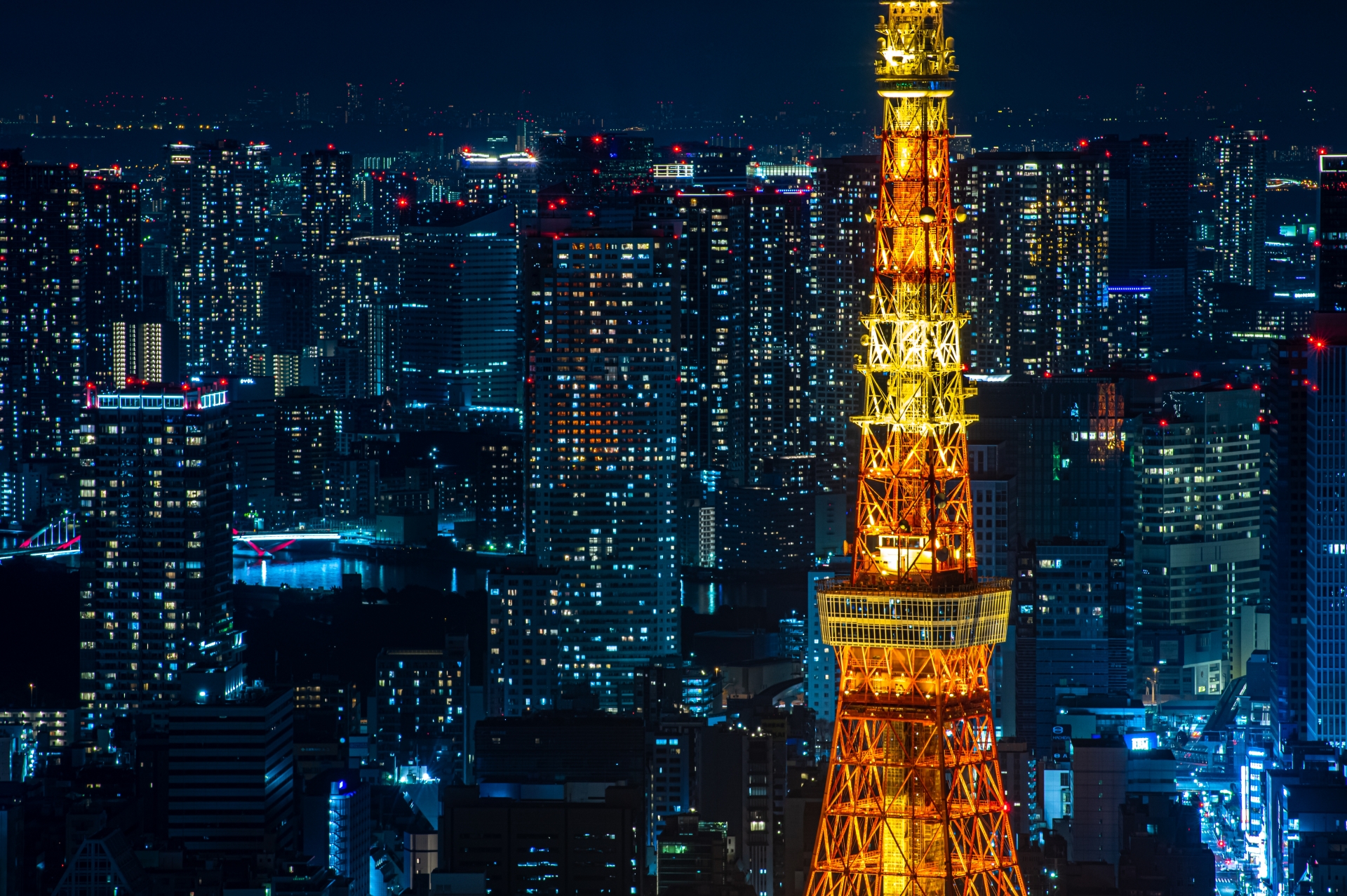 六本木